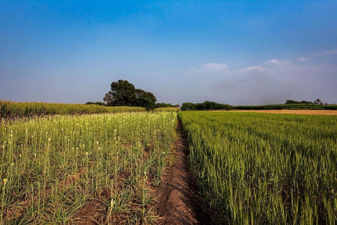 Saffronstays Happy Fields, Pune - Luxury Farmstay With Farm To Table Food Extérieur photo